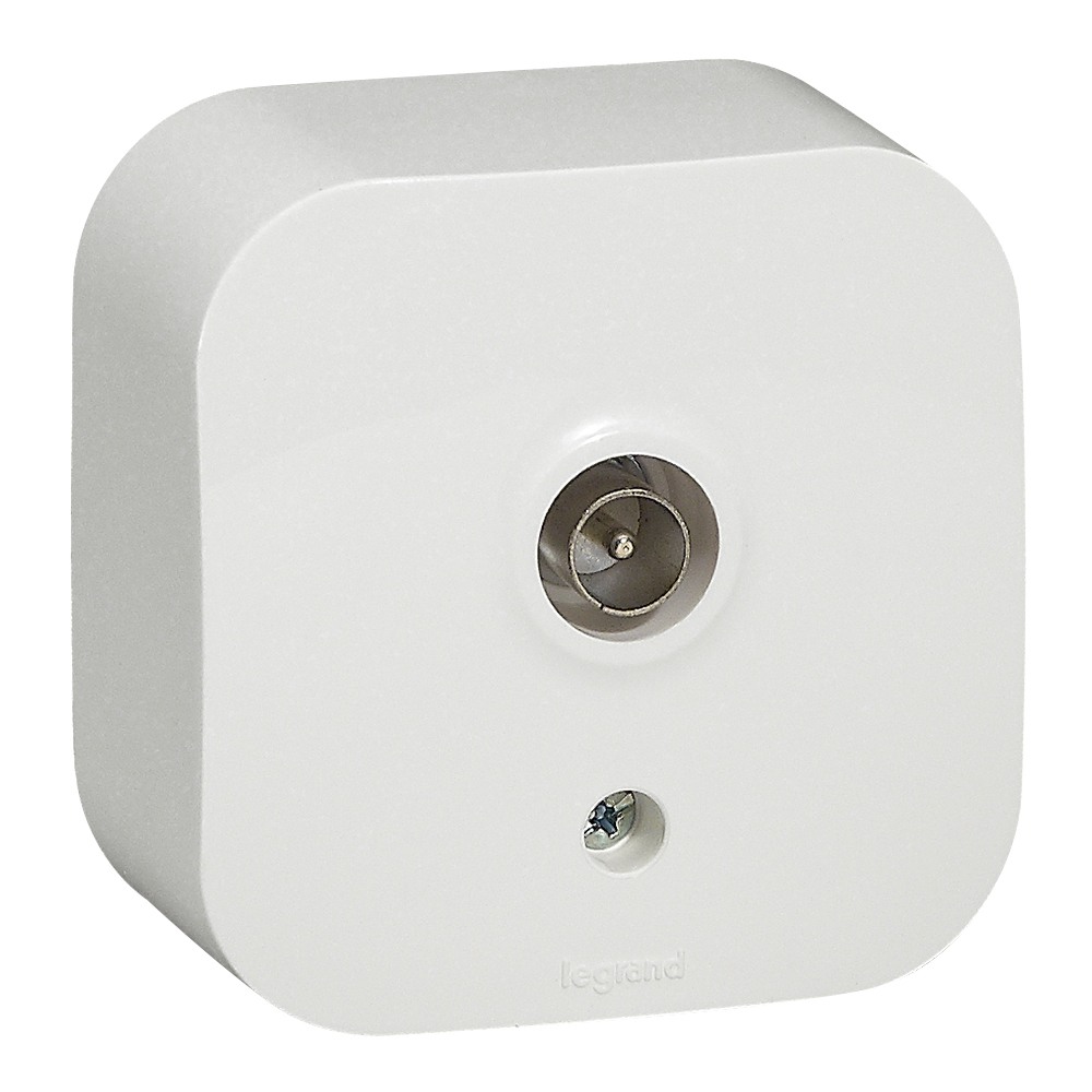 WHITE MALE TV SOCKET
